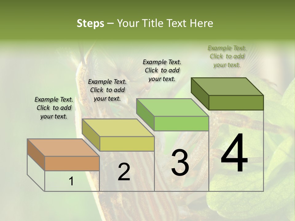 Cleaner Shrimp Close-Up Shot In Aquarium PowerPoint Template