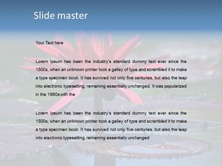 A Red Flower Is In The Middle Of A Body Of Water PowerPoint Template