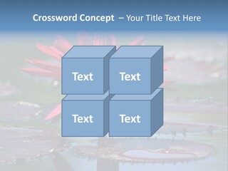 A Red Flower Is In The Middle Of A Body Of Water PowerPoint Template