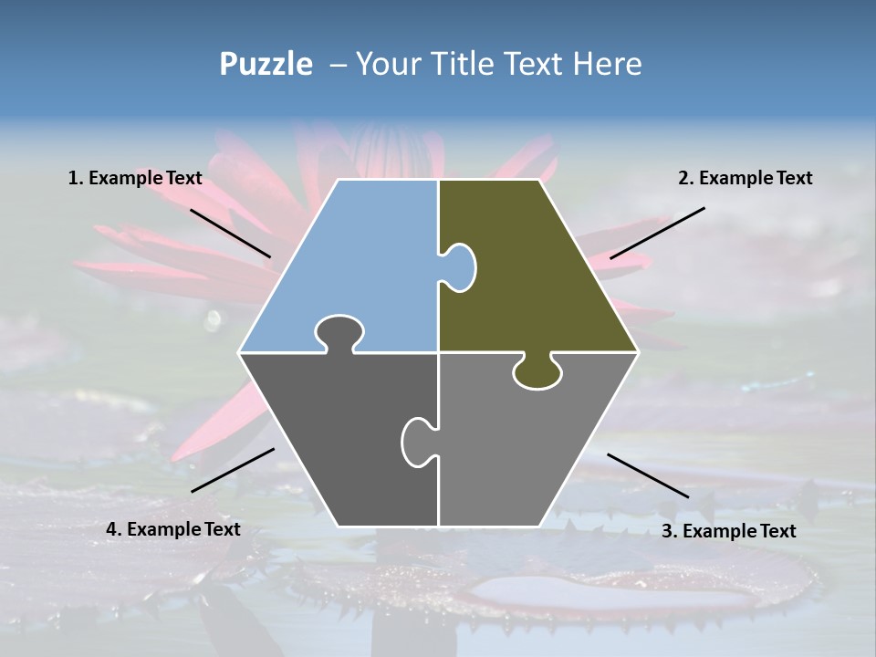 A Red Flower Is In The Middle Of A Body Of Water PowerPoint Template