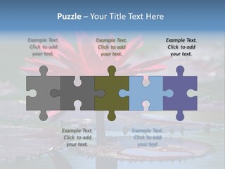 A Red Flower Is In The Middle Of A Body Of Water PowerPoint Template