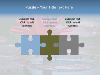 A Red Flower Is In The Middle Of A Body Of Water PowerPoint Template