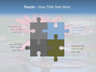 A Red Flower Is In The Middle Of A Body Of Water PowerPoint Template