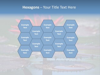 A Red Flower Is In The Middle Of A Body Of Water PowerPoint Template