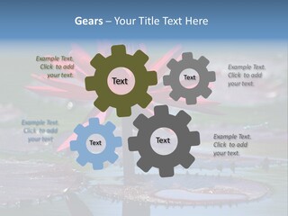 A Red Flower Is In The Middle Of A Body Of Water PowerPoint Template