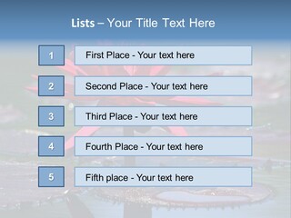 A Red Flower Is In The Middle Of A Body Of Water PowerPoint Template