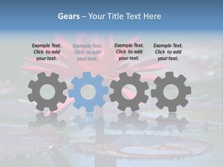A Red Flower Is In The Middle Of A Body Of Water PowerPoint Template
