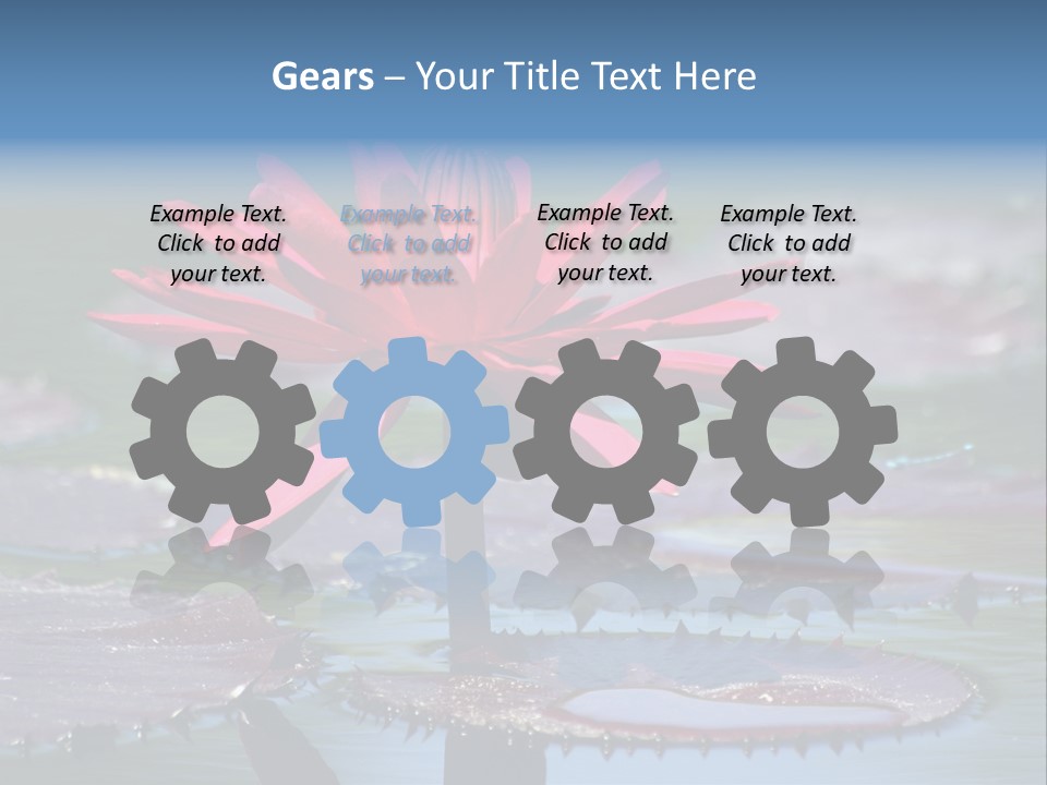 A Red Flower Is In The Middle Of A Body Of Water PowerPoint Template