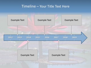 A Red Flower Is In The Middle Of A Body Of Water PowerPoint Template