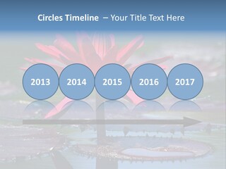 A Red Flower Is In The Middle Of A Body Of Water PowerPoint Template