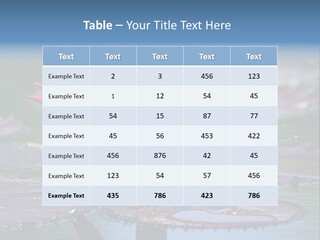 A Red Flower Is In The Middle Of A Body Of Water PowerPoint Template