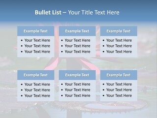 A Red Flower Is In The Middle Of A Body Of Water PowerPoint Template