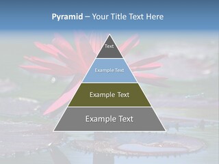 A Red Flower Is In The Middle Of A Body Of Water PowerPoint Template