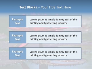 A Red Flower Is In The Middle Of A Body Of Water PowerPoint Template