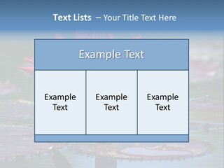 A Red Flower Is In The Middle Of A Body Of Water PowerPoint Template