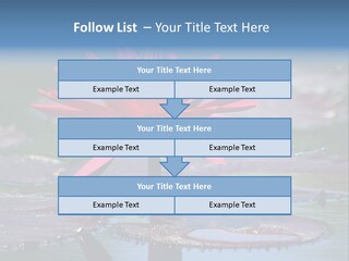 A Red Flower Is In The Middle Of A Body Of Water PowerPoint Template