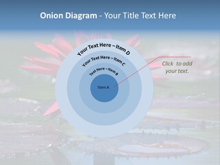 A Red Flower Is In The Middle Of A Body Of Water PowerPoint Template