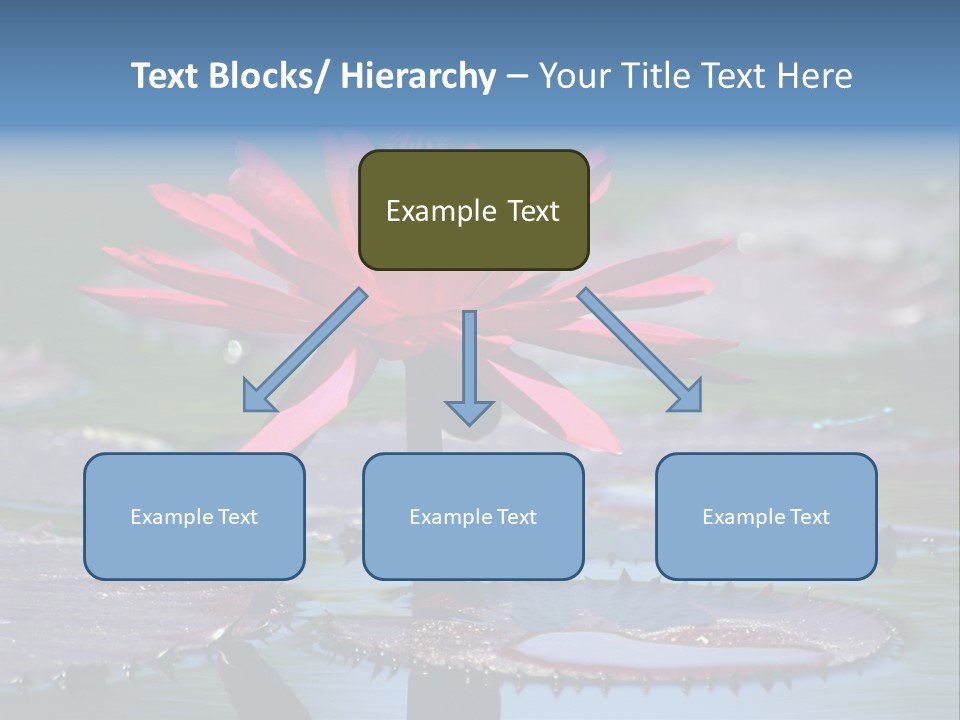 A Red Flower Is In The Middle Of A Body Of Water PowerPoint Template