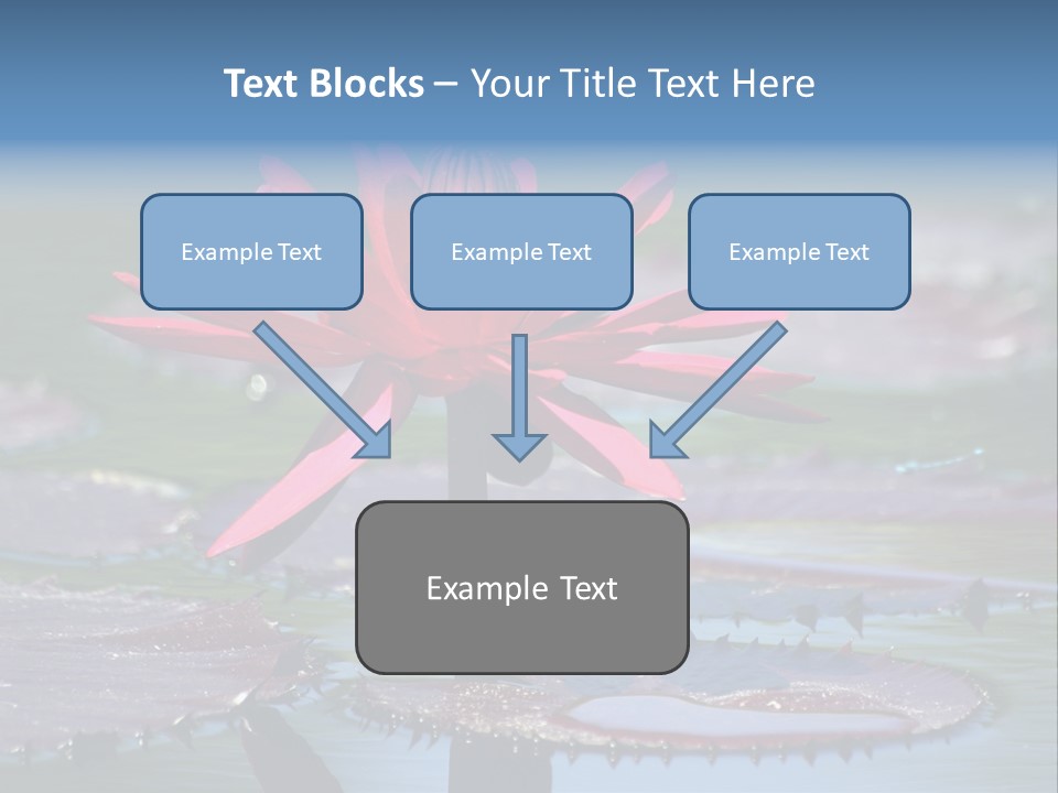 A Red Flower Is In The Middle Of A Body Of Water PowerPoint Template