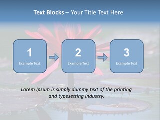 A Red Flower Is In The Middle Of A Body Of Water PowerPoint Template