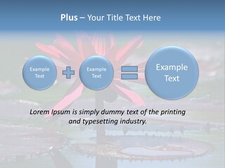 A Red Flower Is In The Middle Of A Body Of Water PowerPoint Template