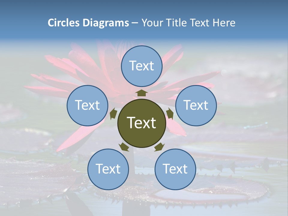A Red Flower Is In The Middle Of A Body Of Water PowerPoint Template