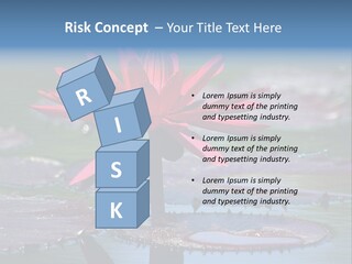 A Red Flower Is In The Middle Of A Body Of Water PowerPoint Template