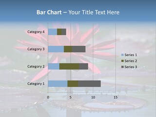 A Red Flower Is In The Middle Of A Body Of Water PowerPoint Template