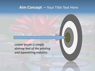 A Red Flower Is In The Middle Of A Body Of Water PowerPoint Template
