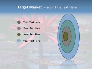 A Red Flower Is In The Middle Of A Body Of Water PowerPoint Template