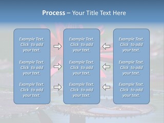 A Red Flower Is In The Middle Of A Body Of Water PowerPoint Template