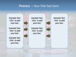 A Red Flower Is In The Middle Of A Body Of Water PowerPoint Template