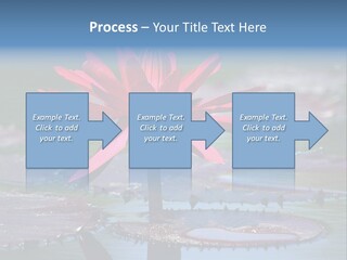 A Red Flower Is In The Middle Of A Body Of Water PowerPoint Template