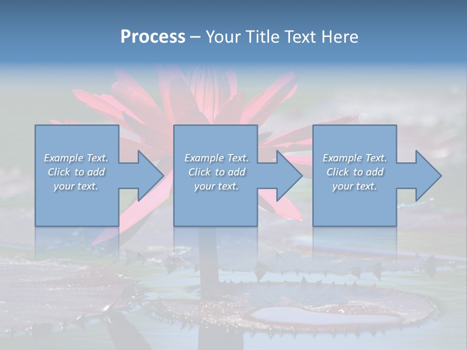 A Red Flower Is In The Middle Of A Body Of Water PowerPoint Template