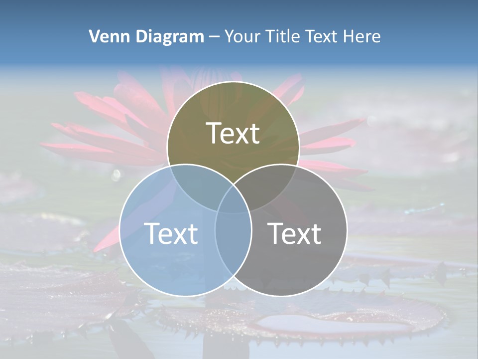 A Red Flower Is In The Middle Of A Body Of Water PowerPoint Template