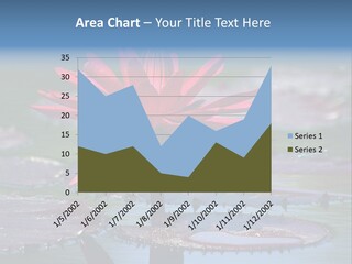 A Red Flower Is In The Middle Of A Body Of Water PowerPoint Template