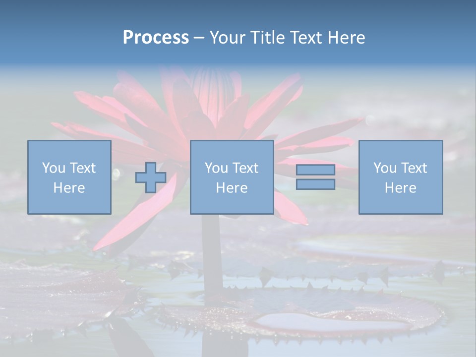 A Red Flower Is In The Middle Of A Body Of Water PowerPoint Template
