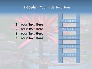 A Red Flower Is In The Middle Of A Body Of Water PowerPoint Template