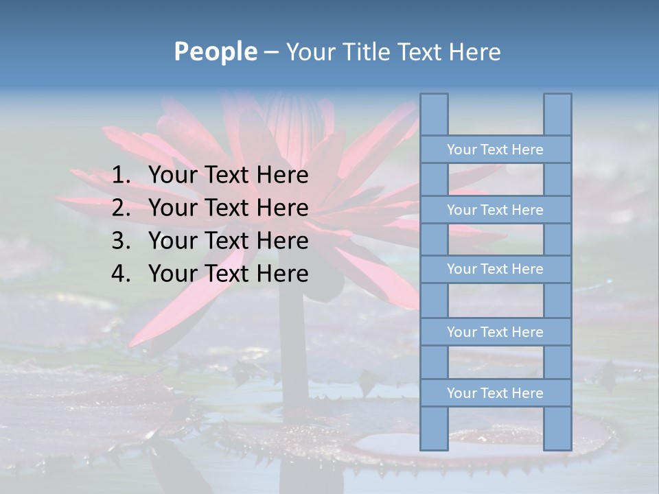 A Red Flower Is In The Middle Of A Body Of Water PowerPoint Template