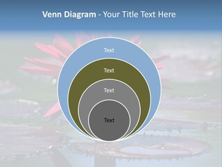 A Red Flower Is In The Middle Of A Body Of Water PowerPoint Template