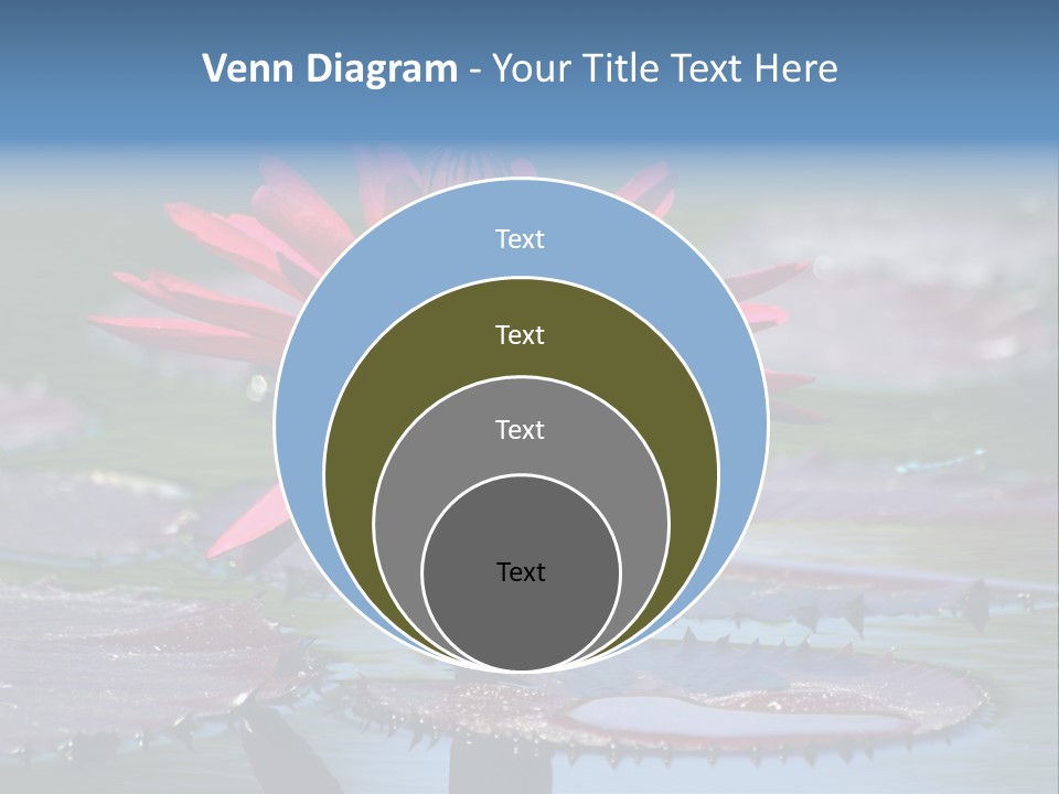 A Red Flower Is In The Middle Of A Body Of Water PowerPoint Template