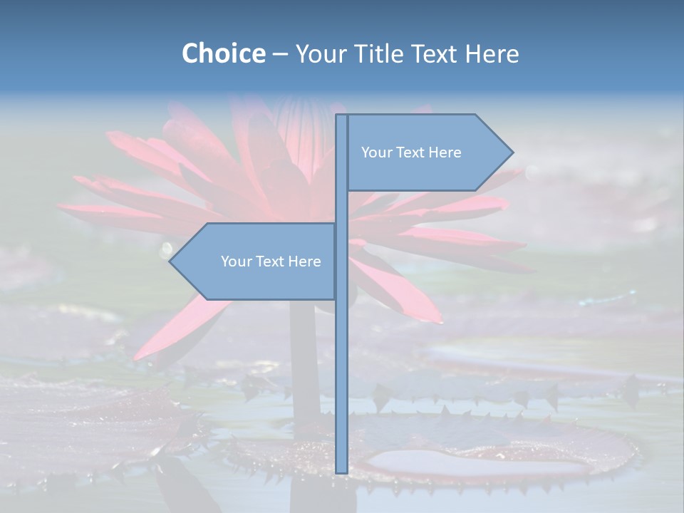 A Red Flower Is In The Middle Of A Body Of Water PowerPoint Template