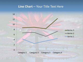 A Red Flower Is In The Middle Of A Body Of Water PowerPoint Template