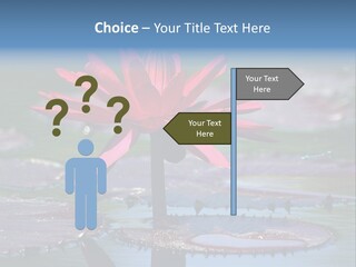 A Red Flower Is In The Middle Of A Body Of Water PowerPoint Template