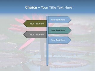 A Red Flower Is In The Middle Of A Body Of Water PowerPoint Template