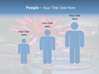 A Red Flower Is In The Middle Of A Body Of Water PowerPoint Template
