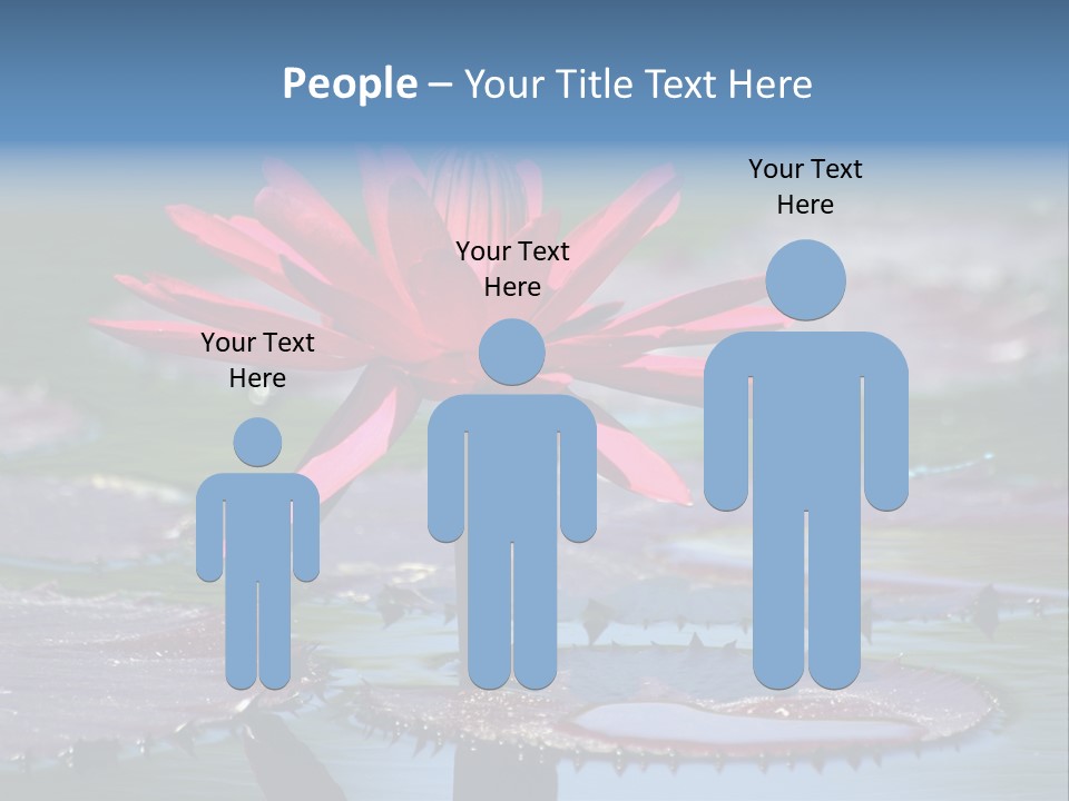 A Red Flower Is In The Middle Of A Body Of Water PowerPoint Template