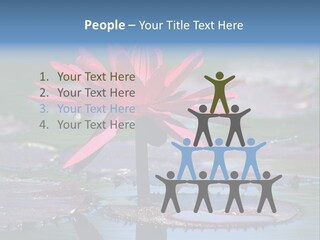 A Red Flower Is In The Middle Of A Body Of Water PowerPoint Template