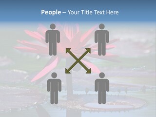 A Red Flower Is In The Middle Of A Body Of Water PowerPoint Template
