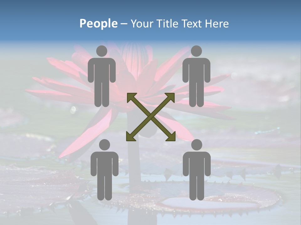 A Red Flower Is In The Middle Of A Body Of Water PowerPoint Template